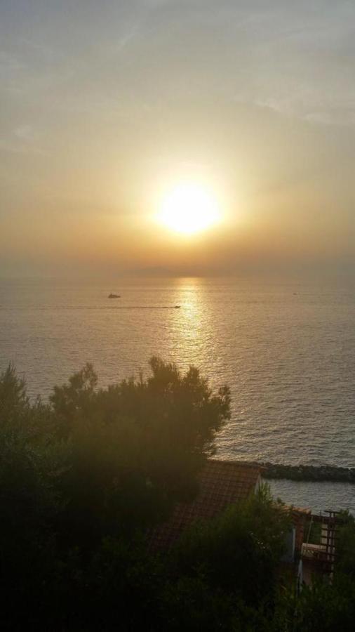 Villa Venere ماسّا لوبْرينسِ المظهر الخارجي الصورة