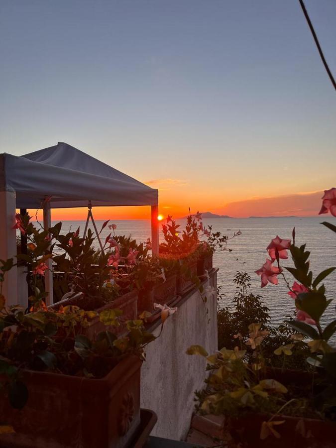 Villa Venere ماسّا لوبْرينسِ المظهر الخارجي الصورة